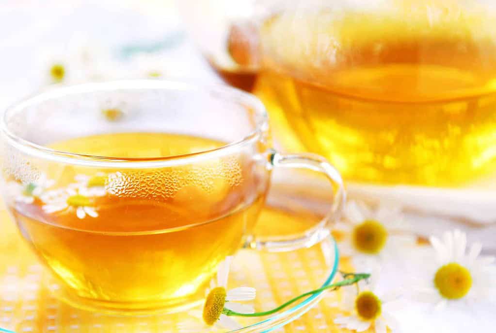 A teacup with herbal chamomile tea