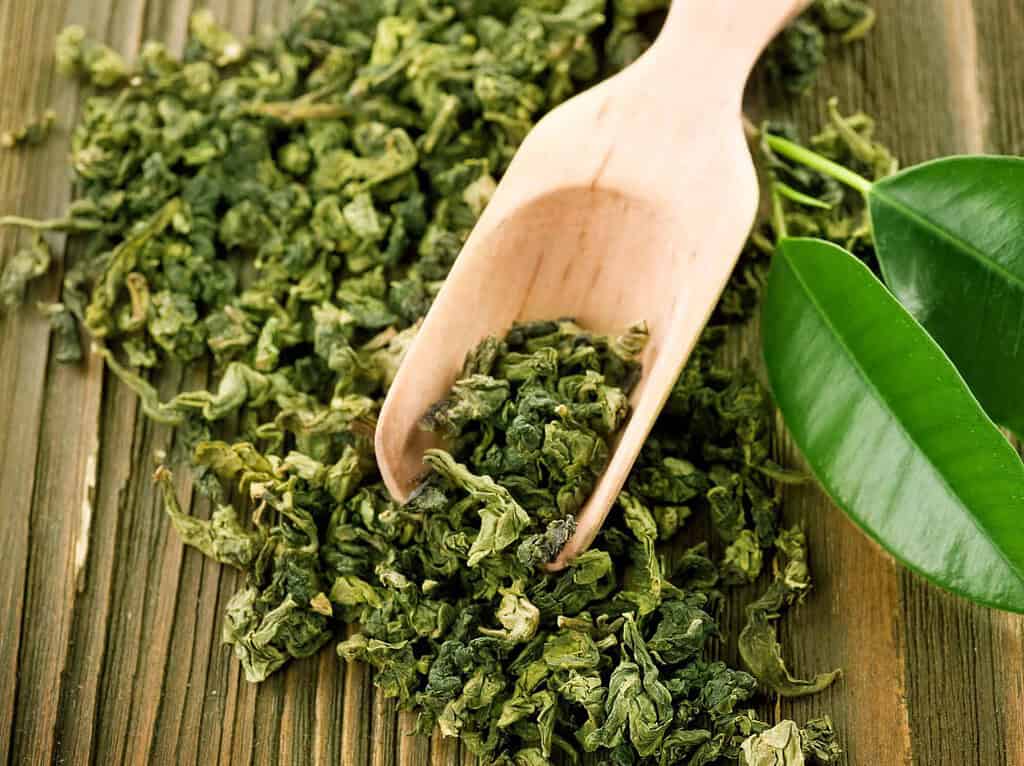 loose green tea leaves with wooden spoon
