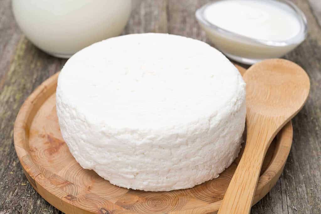 Is Cottage Cheese Paleo Approved?