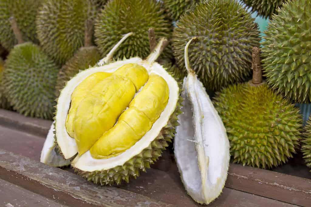 A freshly opened durian fruit revealing its creamy yellow flesh, displayed on a wooden surface. Whole durians with their spiky green shells are arranged in the background, showcasing the fruit's distinctive appearance.