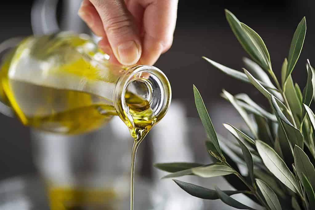 Is Olive Oil Low Fodmap? [Including Infusions]