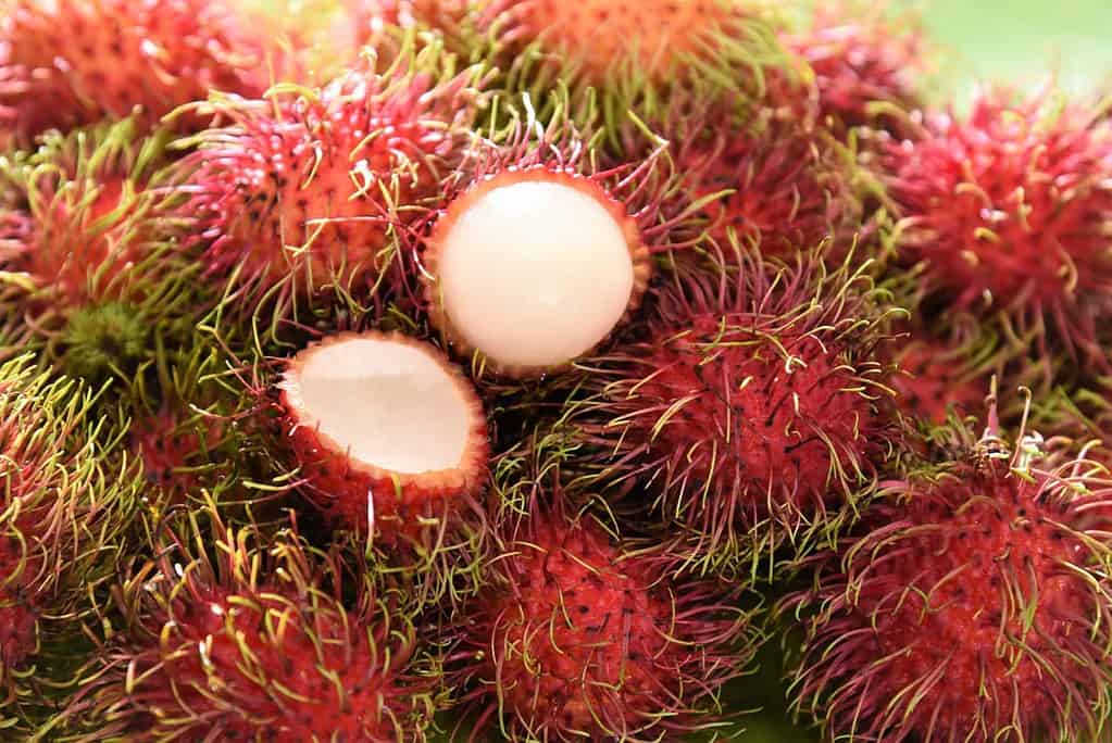 A pile of fresh red rambutan fruits with green spiky hairs, one of which is cut open to reveal its translucent, juicy flesh. The vibrant colors create a tropical and exotic presentation.