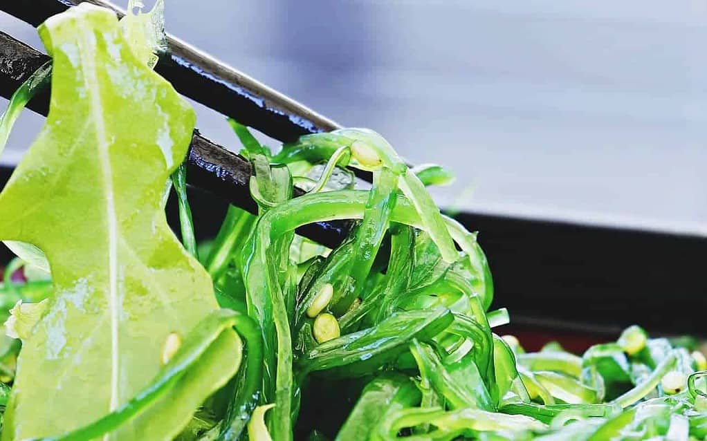 seaweed salad with chopsticks