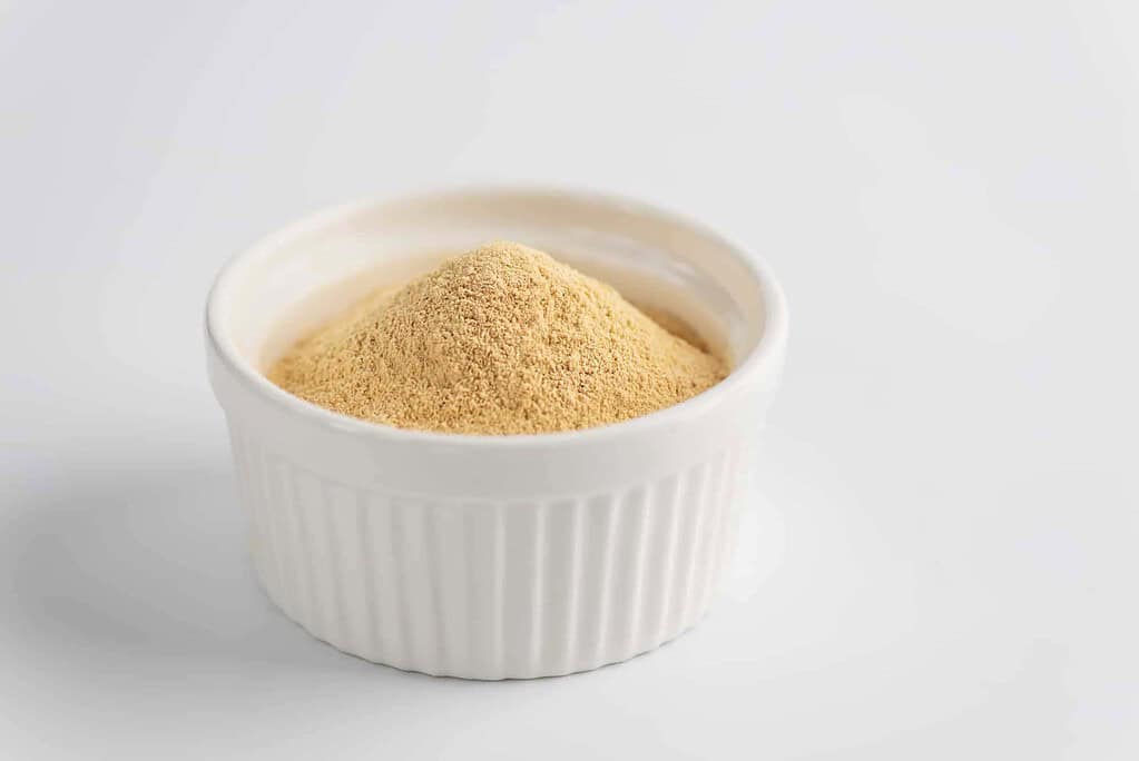 sunfower lecithin in a white bowl