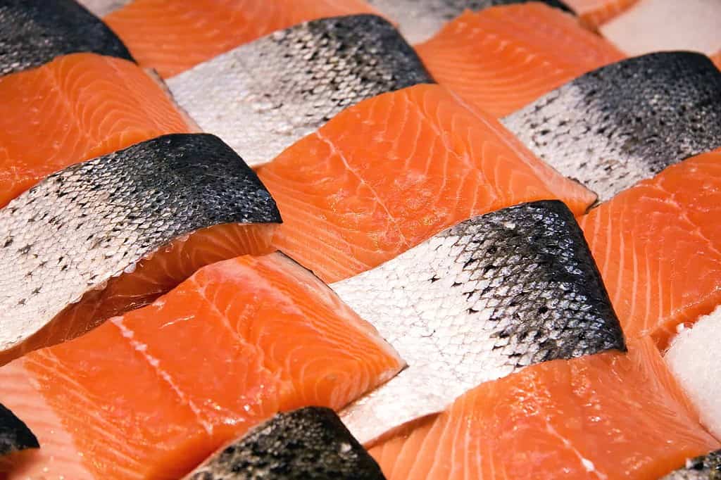 How Long Does Sushi Grade Salmon Last?