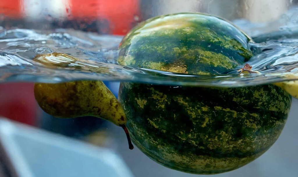 Do Watermelons Float? If So, Why?
