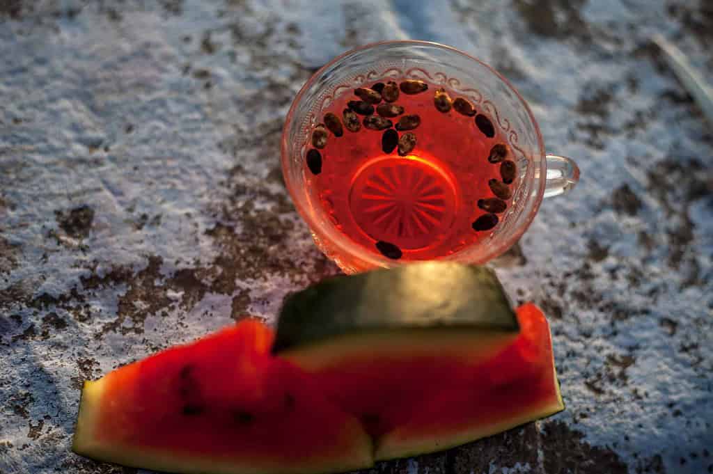 dead watermelon seeds float on water