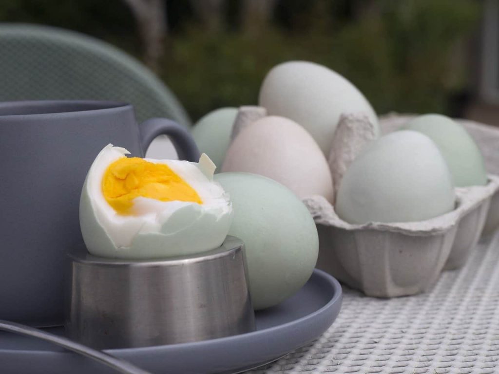 Do Boiled Eggs Cause Gas? Hard Boiled + More
