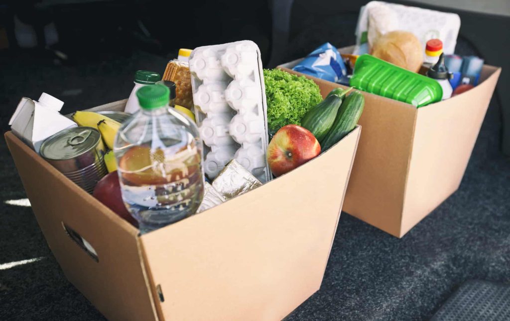 Left Eggs In Your Car? Here's What to Do [Timings]