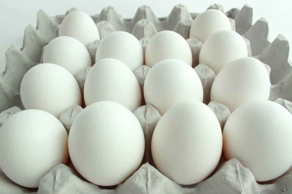 chicken eggs in the container