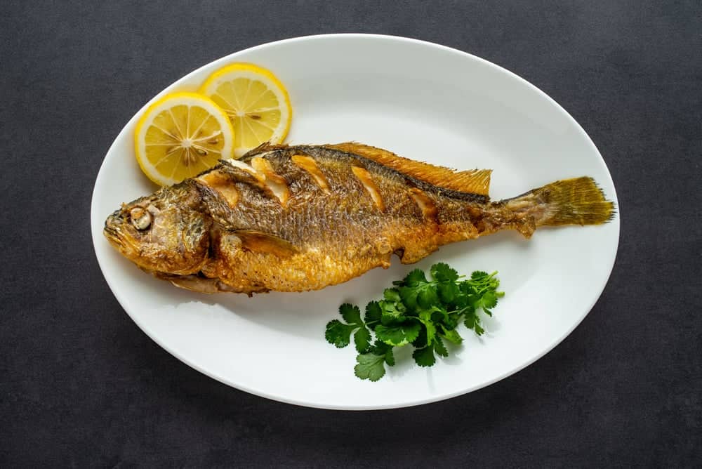 Croaker Fish: What Do They Taste Like?