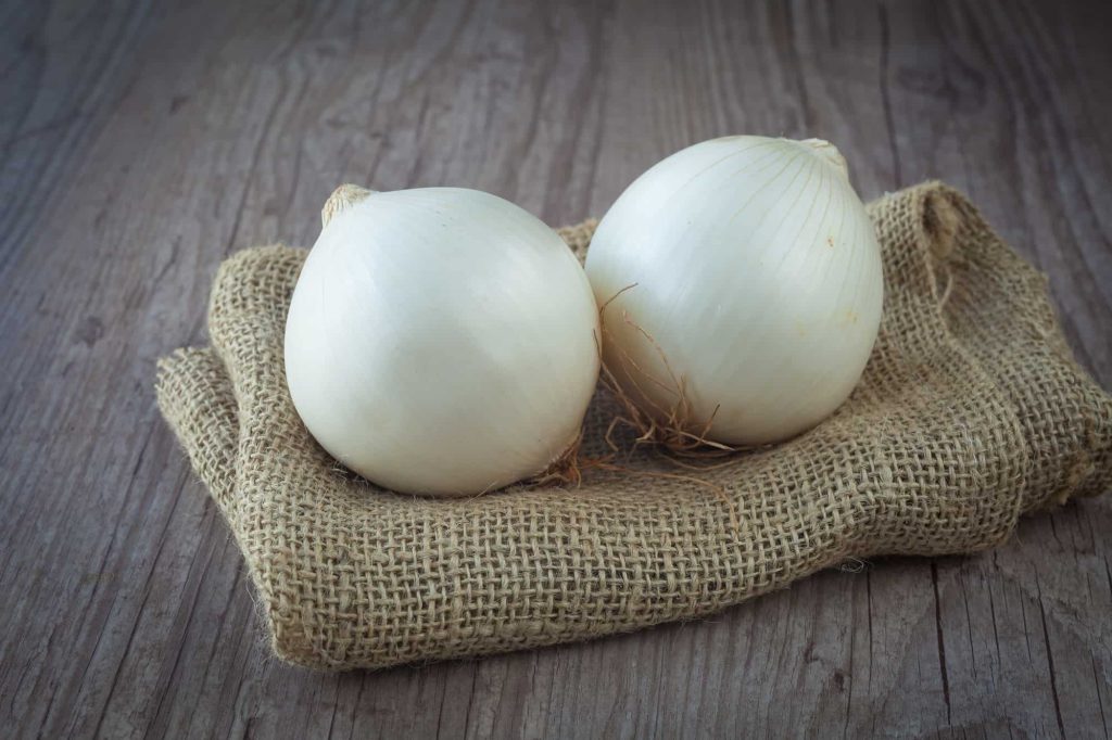 Fresh raw white onion on a table