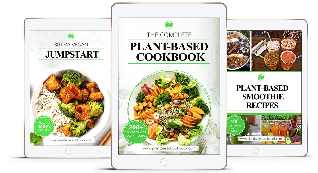 Best CookBook for Vegan : The Plant-Based CookBook Review