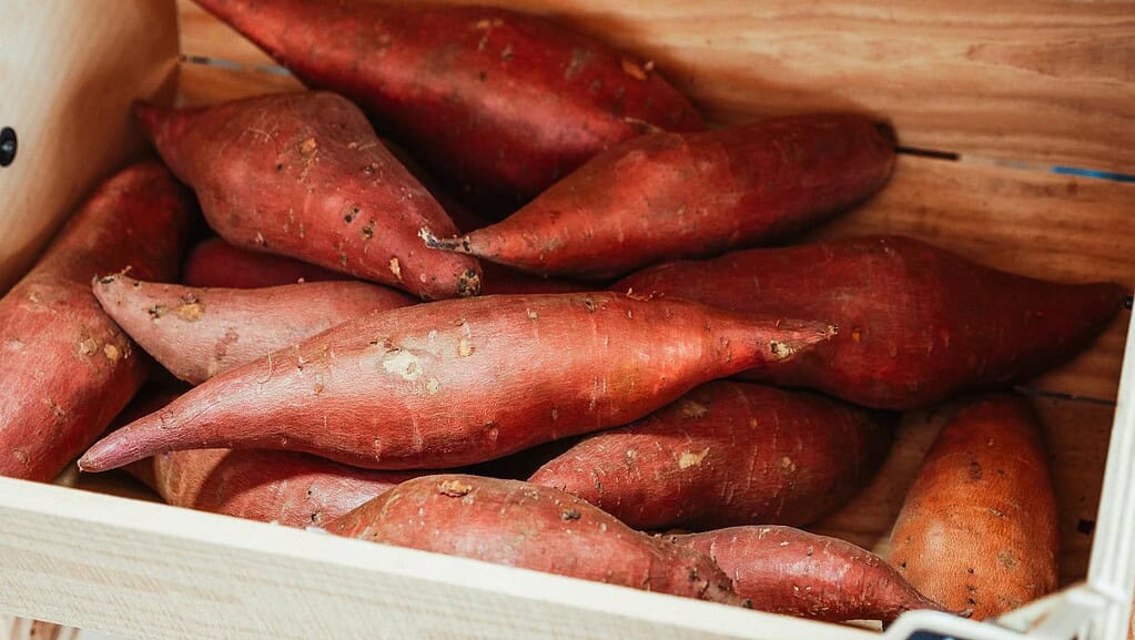 Is the Butterkäse Sweet Potato Healthy? A Dietitian's Deep Dive