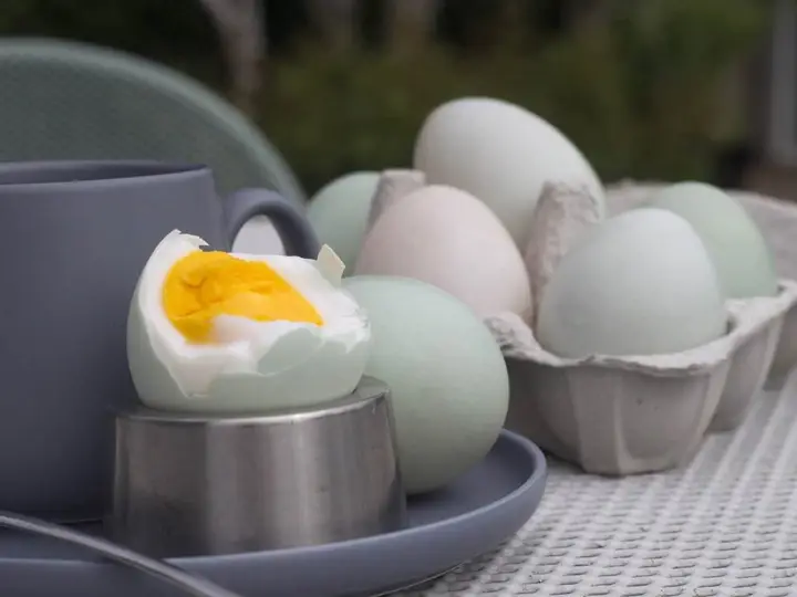 Do Boiled Eggs Cause Gas? Hard Boiled + More