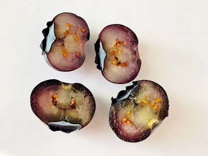 What Does the Inside of a Blueberry Look Like? [With Pics]