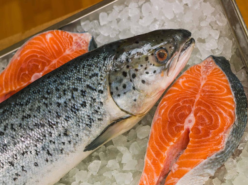 fresh salmon with scales in the market