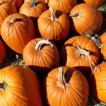 A collection of bright orange pumpkins with prominent stems are scattered on the ground, their sizes inviting curiosity about pumpkin weighing. They lie on a surface covered with dried grass and hay, suggesting a harvest or autumn setting.