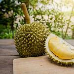 A fresh durian fruit on a wooden table, with one half cut open to reveal its creamy, yellow flesh. The background features a blurred, sunlit garden, adding a natural and tropical ambiance to the scene