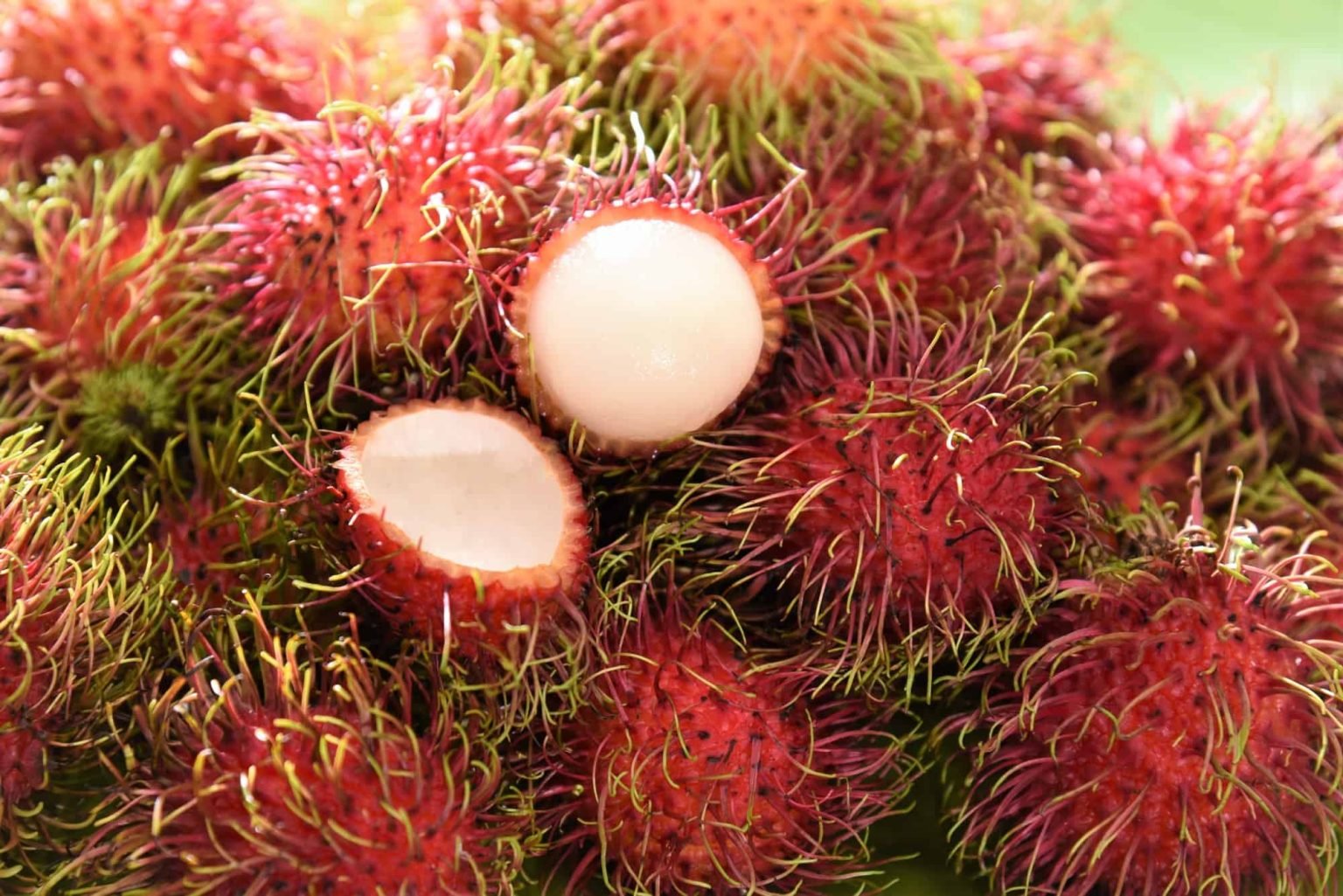 Types of Spiny Fruits: List of Spiny Fruit Names Worldwide - Cuisine Seeker