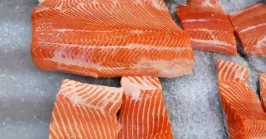 frozen salmon in a refrigerator