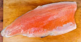 fresh trout fillet to make sushi