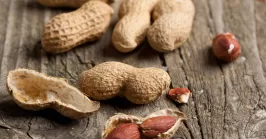 peanuts with shell and unshelled on a wooden table