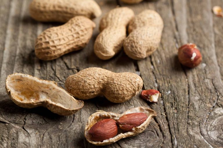 A close-up of peanuts on a wooden surface. Some are in their shells while others are cracked open, revealing reddish-brown seeds inside. The texture of the wood and peanut shells provides a rustic appearance, reminiscent of simpler times before worries about bloating or gas.