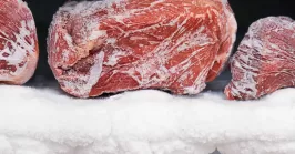 frozen venison meat