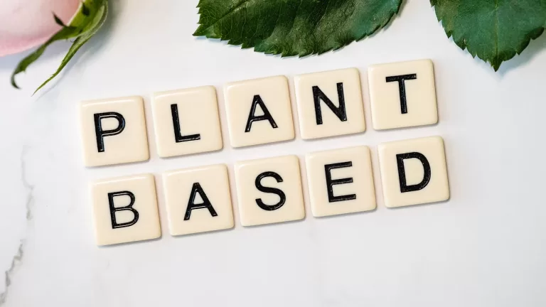 Scrabble tiles spell "PLANT BASED" on a white surface surrounded by green leaves, capturing the essence of vegan living—a key thing to know for those exploring how to become vegan.