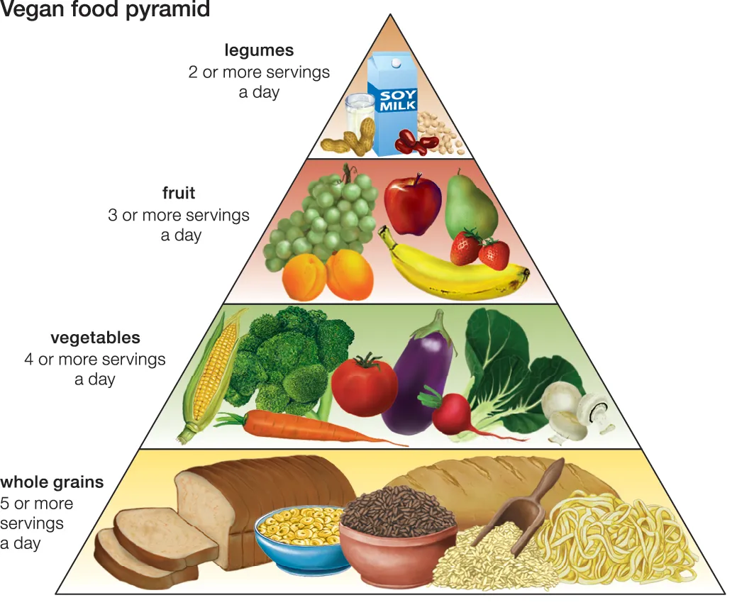 Illustration of a vegan food pyramid with four levels: top to bottom - legumes (2+ servings), fruit (3+ servings), vegetables (4+ servings), whole grains (5+ servings). Becoming vegan means enjoying foods like soy milk, fruits, and grains to balance your diet.