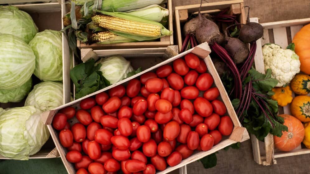 A close-up shot of a bunch of delicious organic tomatoes. The tomatoes are vibrant red and look fresh, emphasizing their ripeness and quality.