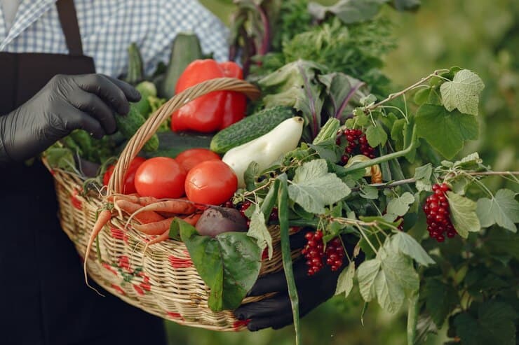 A close-up shot of an elderly farmer holding a basket of vegetables. The man is standing in a garden, wearing a black apron. The scene highlights the fresh produce and the farmer's dedication to his work in veggie gardening.