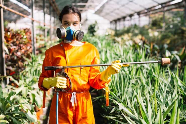 A portrait of a female gardener holding a sprayer in a greenhouse. She stands confidently amidst lush green plants, highlighting her role in maintaining the health and growth of the garden.